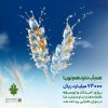 حمایت 74 هزار میلیارد ریالی بانک کشاورزی از مدیریت بحران آب با توسعه گلخانه ها